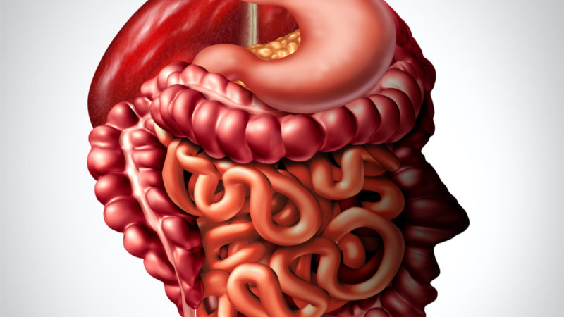 Lightspring-hutterstock_1894115746